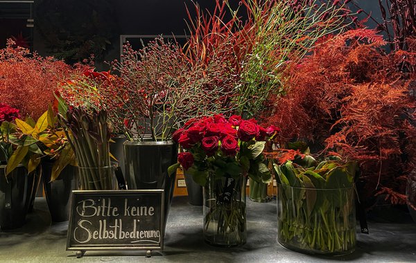 Launching a Thriving Urban Gardening Venture in the UK: Your Guide to Navigating Local Agricultural Regulations